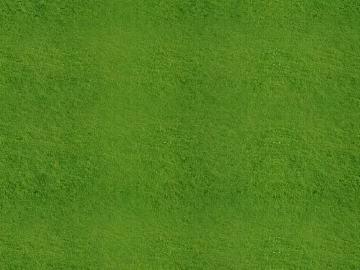 Turf texture (ID:ffacg42880)