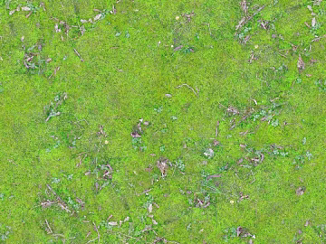 Turf texture (ID:ffacf7149)