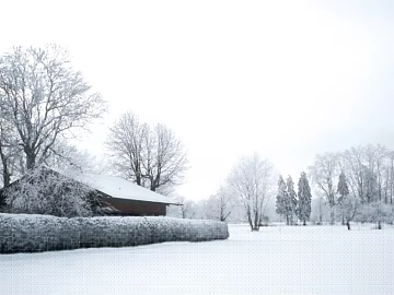 Snow texture (ID:ffacg22094)