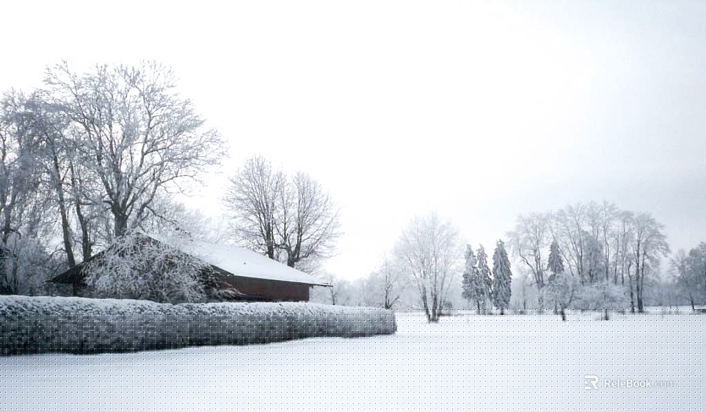 Snow texture