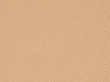 Orange textured leather 3d model