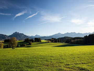 Wild Scenery texture (ID:ffach920508)