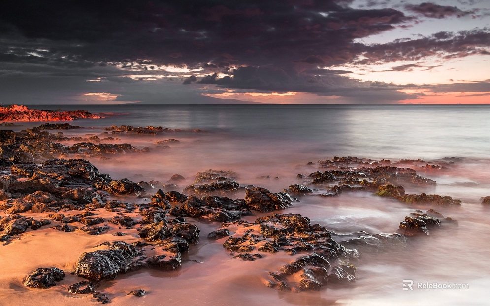 Wild Scenery texture