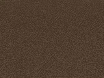 fine grain leather texture (ID:ffaag09736)