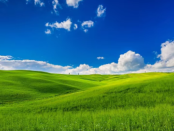 Wild Scenery texture (ID:ffaeg49509)