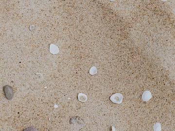 Beach texture (ID:ffagg49008)