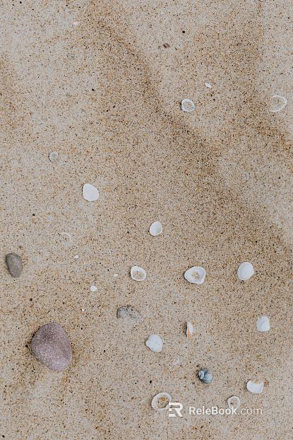 Beach texture