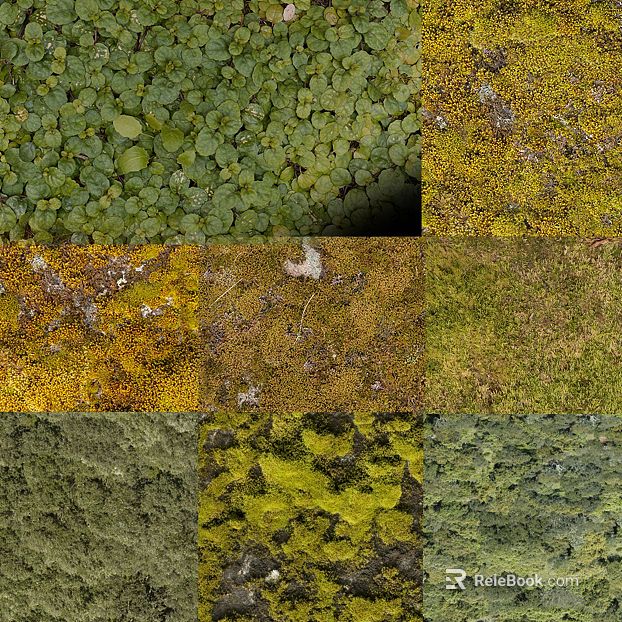 Yellow green moss natural material texture