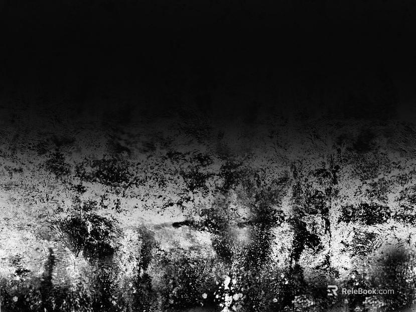 Black and White Bump texture