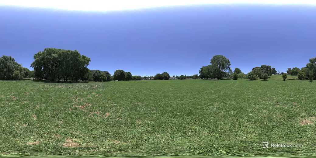 Outdoor Lawn Grass Sunny Day HDR texture