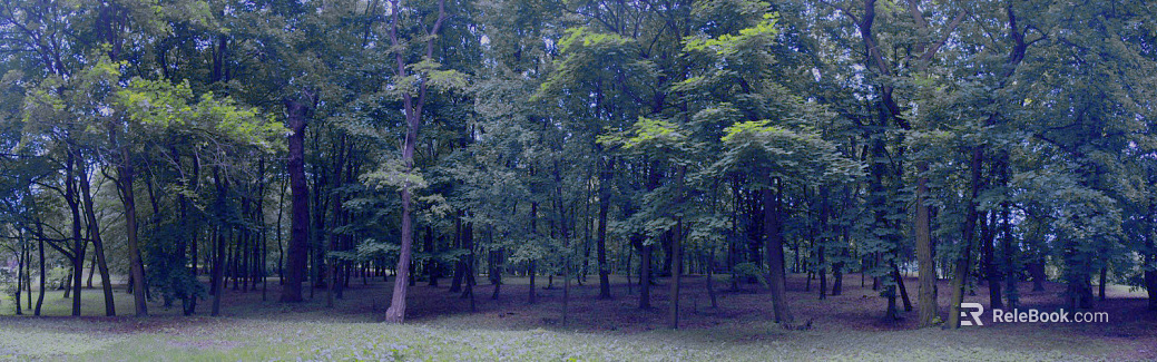 Wild Scenery texture