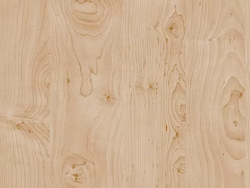 Wood grain birch wood grain paint figure texture (ID:ffajg44478)