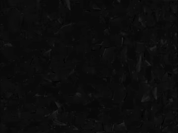 Black Terrazzo Indoor Flooring texture (ID:ffaeh220821)