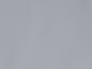 fine grain leather texture (ID:ffaeg64438)