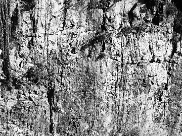 Black and White Bump texture (ID:ffaeg60554)