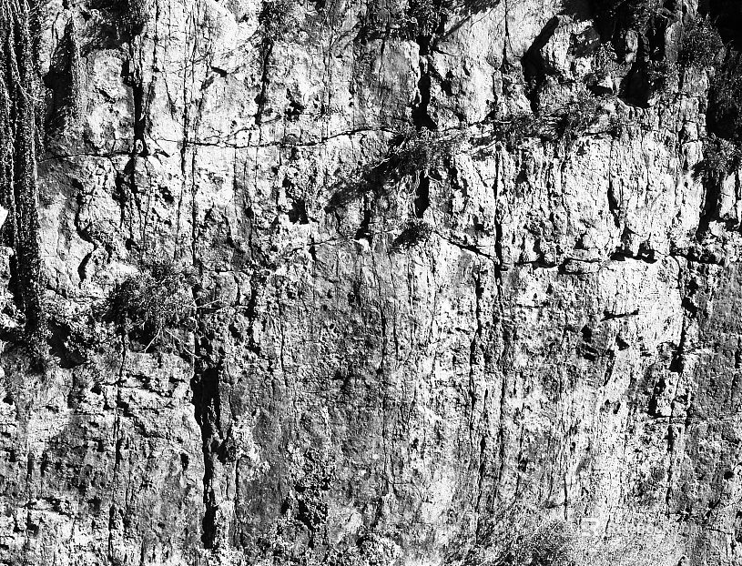Black and White Bump texture
