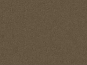 fine grain leather texture (ID:ffagg73185)
