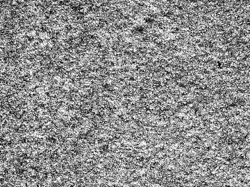 Black and White Bump 3d model