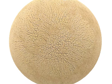 Mud PBR texture (ID:ffach798964)