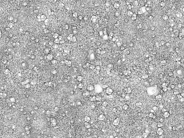Black and white concave-convex ground cement terrazzo sand texture (ID:ffach220965)