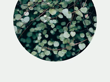 Plant painting texture (ID:ffabg47331)