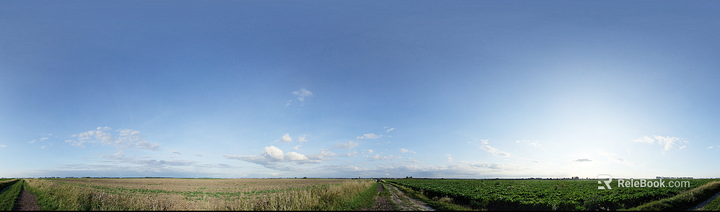 Wild Scenery texture