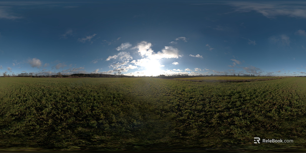 Outdoor Grassland Wilderness Large Environment Day View HDR texture