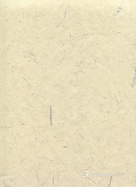 Paint texture