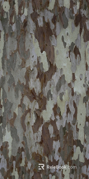 Gray white brown mottled bark texture texture
