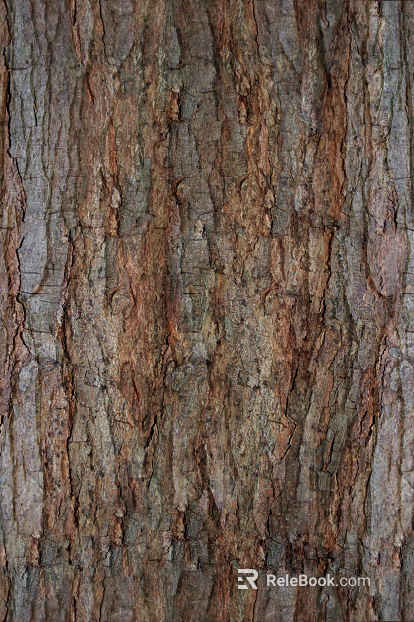 ancient tree bark texture