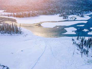 Winter Solstice Wild Scenery texture (ID:ffach934225)
