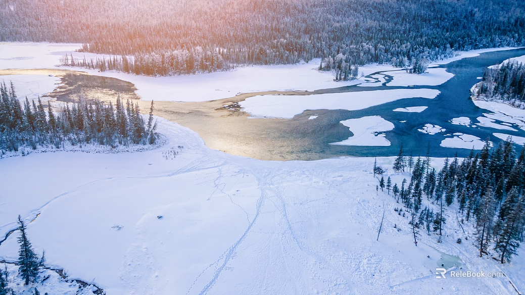 Winter Solstice Wild Scenery texture