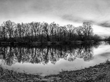 black and white painting texture (ID:ffaag54244)