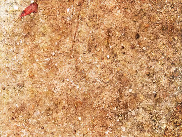 Rock Yellow Orange Rock texture (ID:ffaif4671)