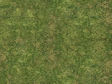 Turf texture (ID:ffabg87792)