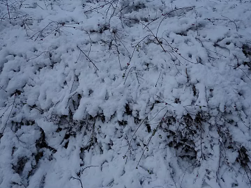 Snow texture (ID:ffaeg23493)