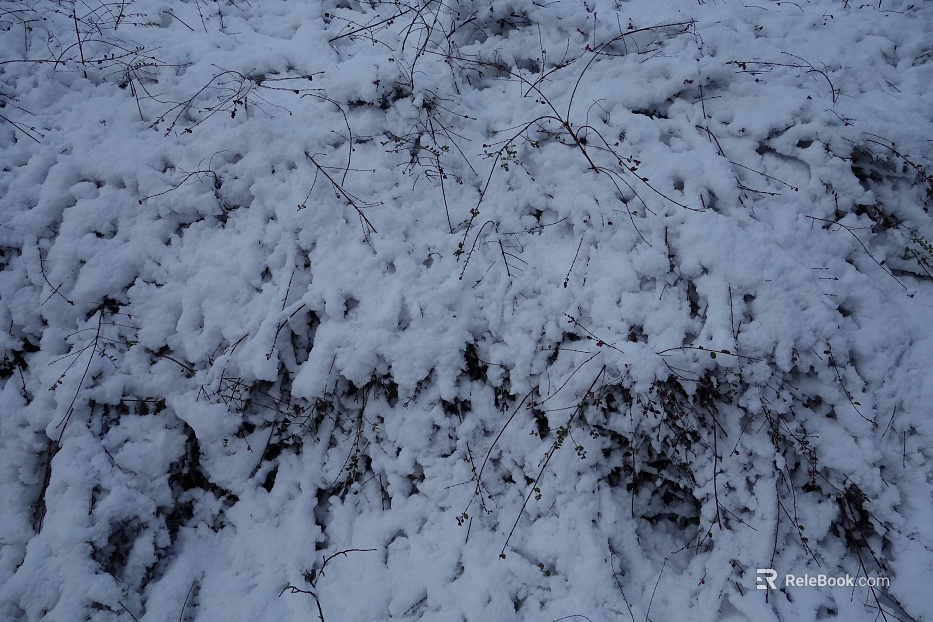 Snow texture