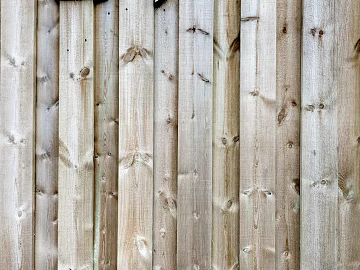 Plank texture (ID:ffagg95562)