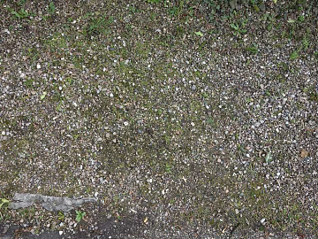Gravel texture (ID:ffaeg38163)