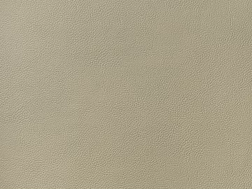 Coarse-grain leather texture (ID:ffach882638)