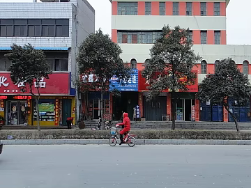 Street View texture (ID:ffajg56276)