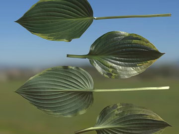 leaves texture (ID:ffaeg58034)