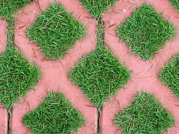 grass-planting brick texture (ID:ffaeg14696)