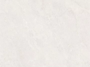 Plain Tile 3d model