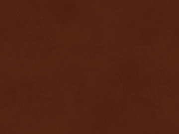 fine grain leather texture (ID:ffabg53789)