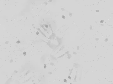 Fingerprint texture (ID:ffajg46785)