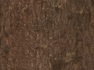 bark texture (ID:ffabg26011)