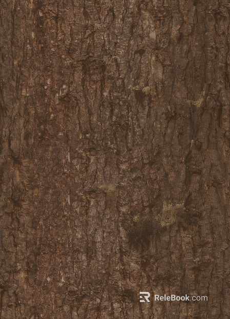 bark texture