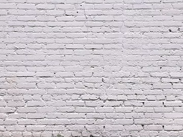 Brick wall texture (ID:ffagg83298)