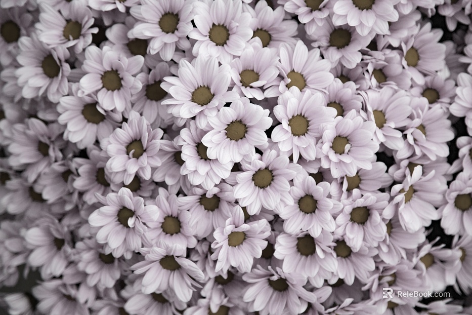 Flowers texture